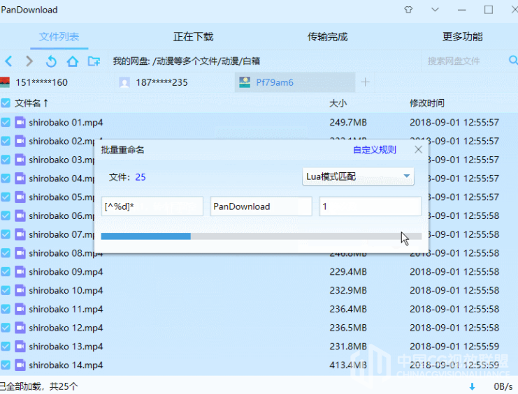 百度网盘下载器 PanDownload v2.0.6