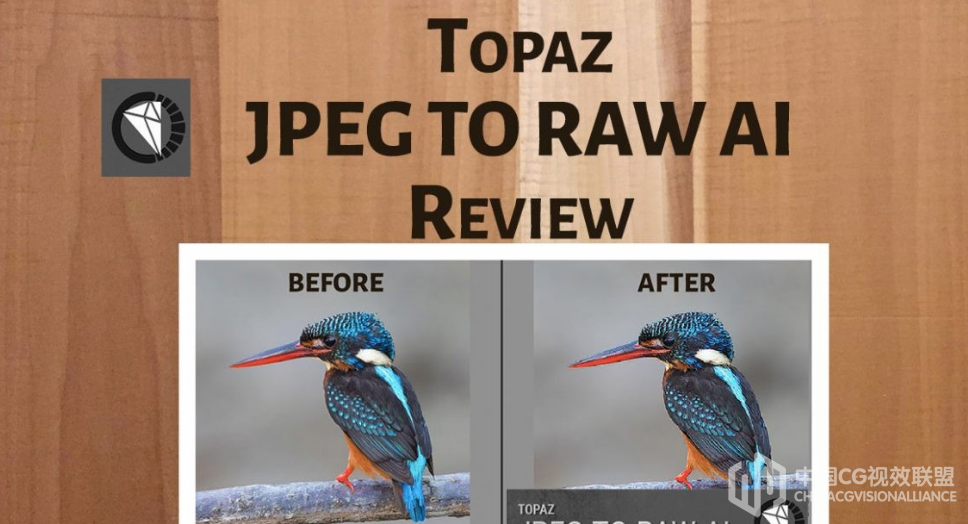 JPG 图片转 RAW 图像软件 - Topaz JPEG to RAW AI 2.0.1 Win版