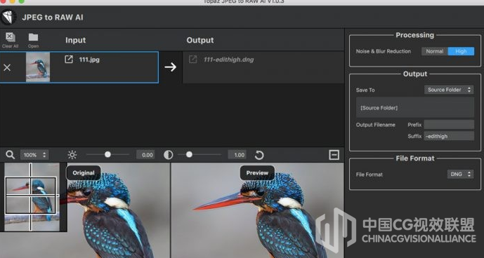 JPG 图片转 RAW 图像软件 - Topaz JPEG to RAW AI 2.0.1 Win版