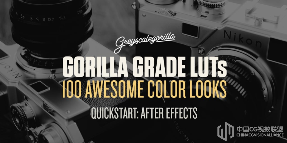 灰猩猩100种LUTs电影调色预设 - Gorilla Grade LUT’s (更新)