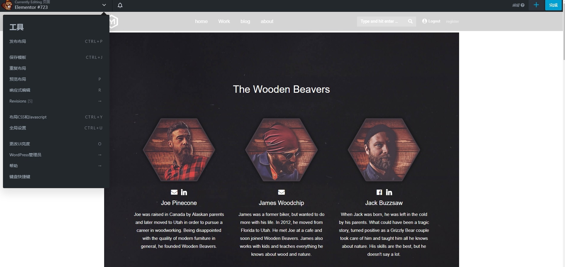 WordPress插件-Beaver Builder Pro V2.2.3汉化版