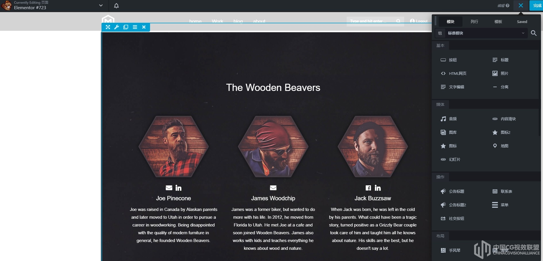 WordPress插件-Beaver Builder Pro V2.2.3汉化版
