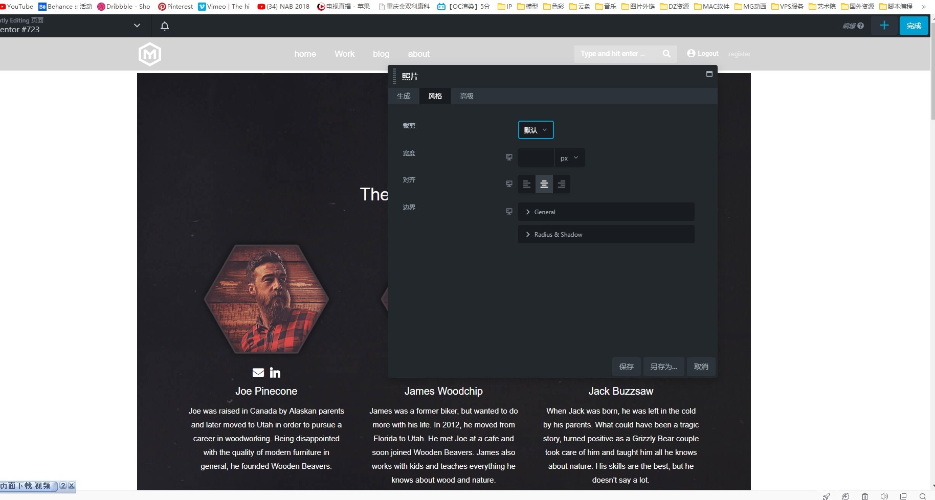 WordPress插件-Beaver Builder Pro V2.2.3汉化版