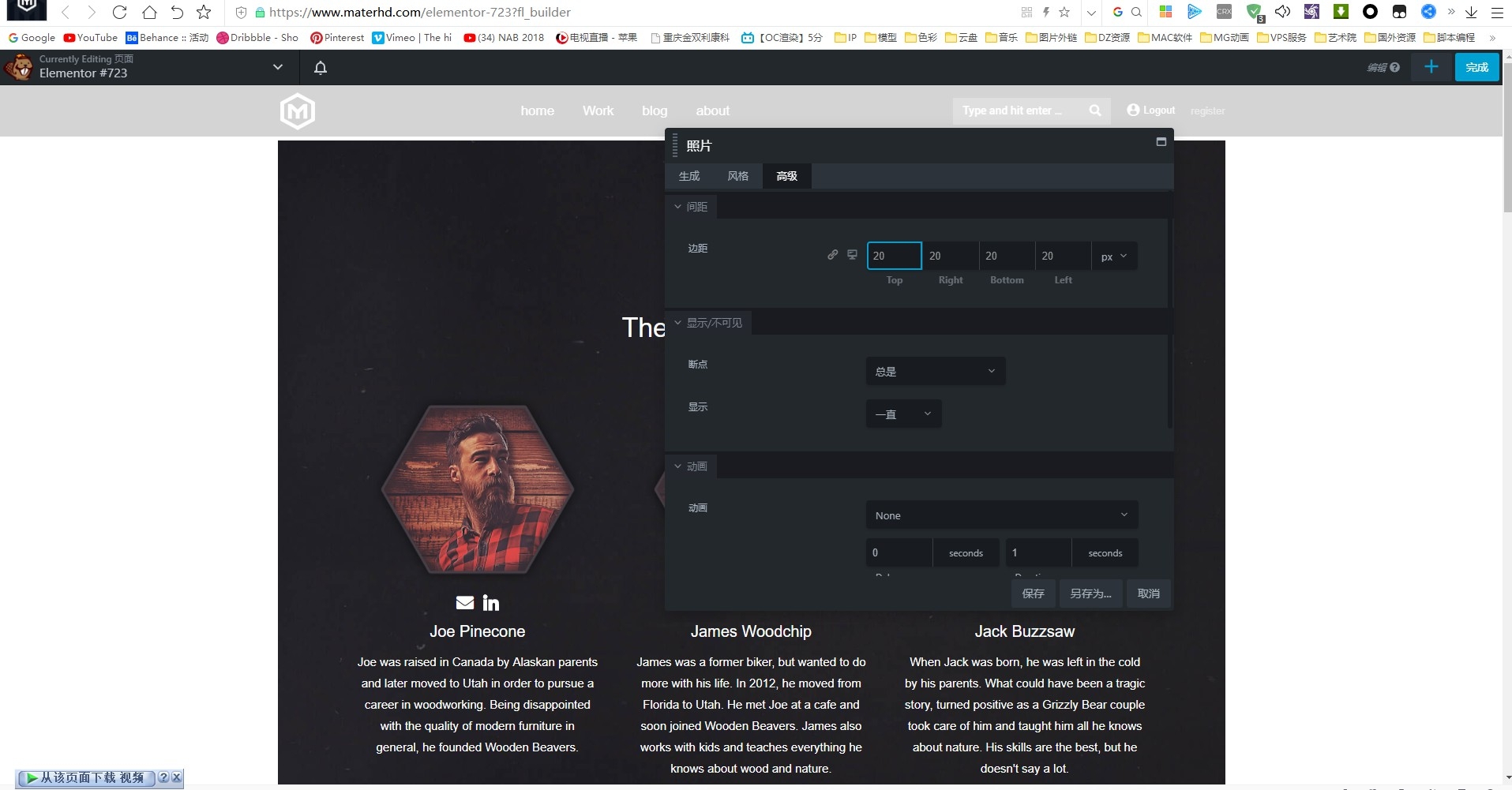 WordPress插件-Beaver Builder Pro V2.2.3汉化版