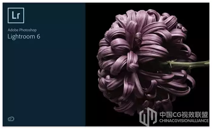 723785f446f9f25006.png